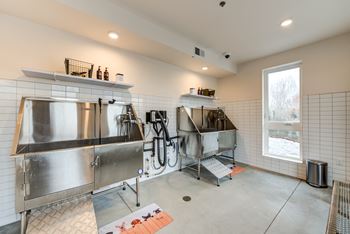 Pet spa